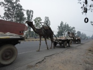 06-India-00010