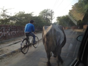 06-India-00014