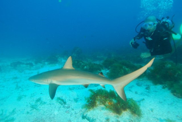 DSC02779.1 [800x600]